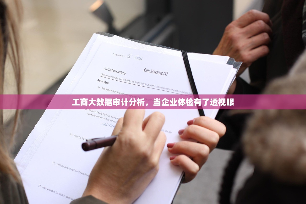 工商大数据审计分析，当企业体检有了透视眼