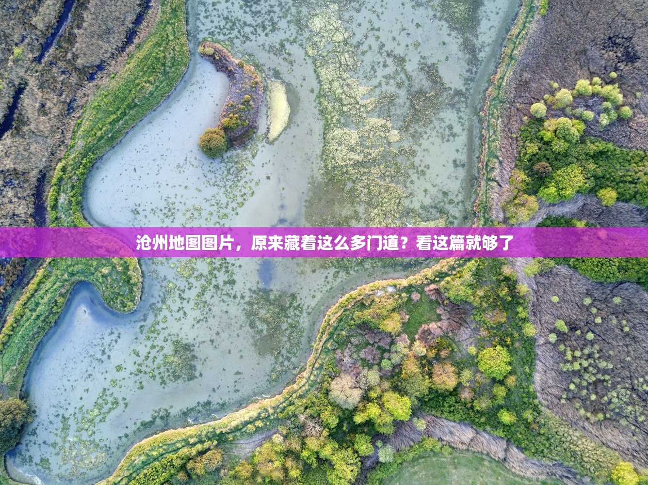 沧州地图图片，原来藏着这么多门道？看这篇就够了