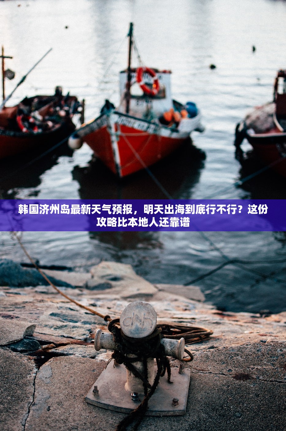 韩国济州岛最新天气预报，明天出海到底行不行？这份攻略比本地人还靠谱
