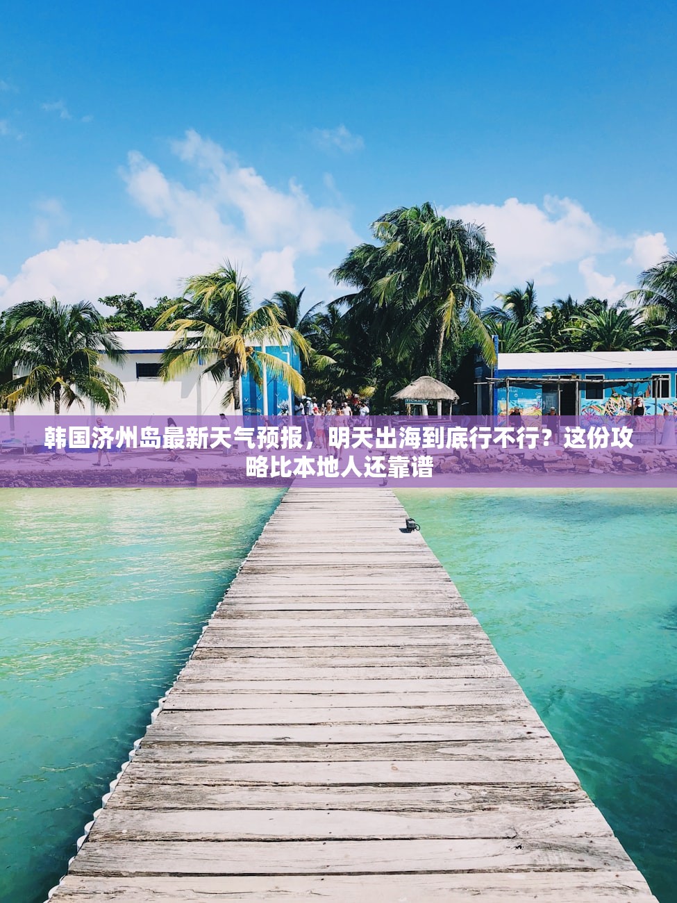 韩国济州岛最新天气预报，明天出海到底行不行？这份攻略比本地人还靠谱