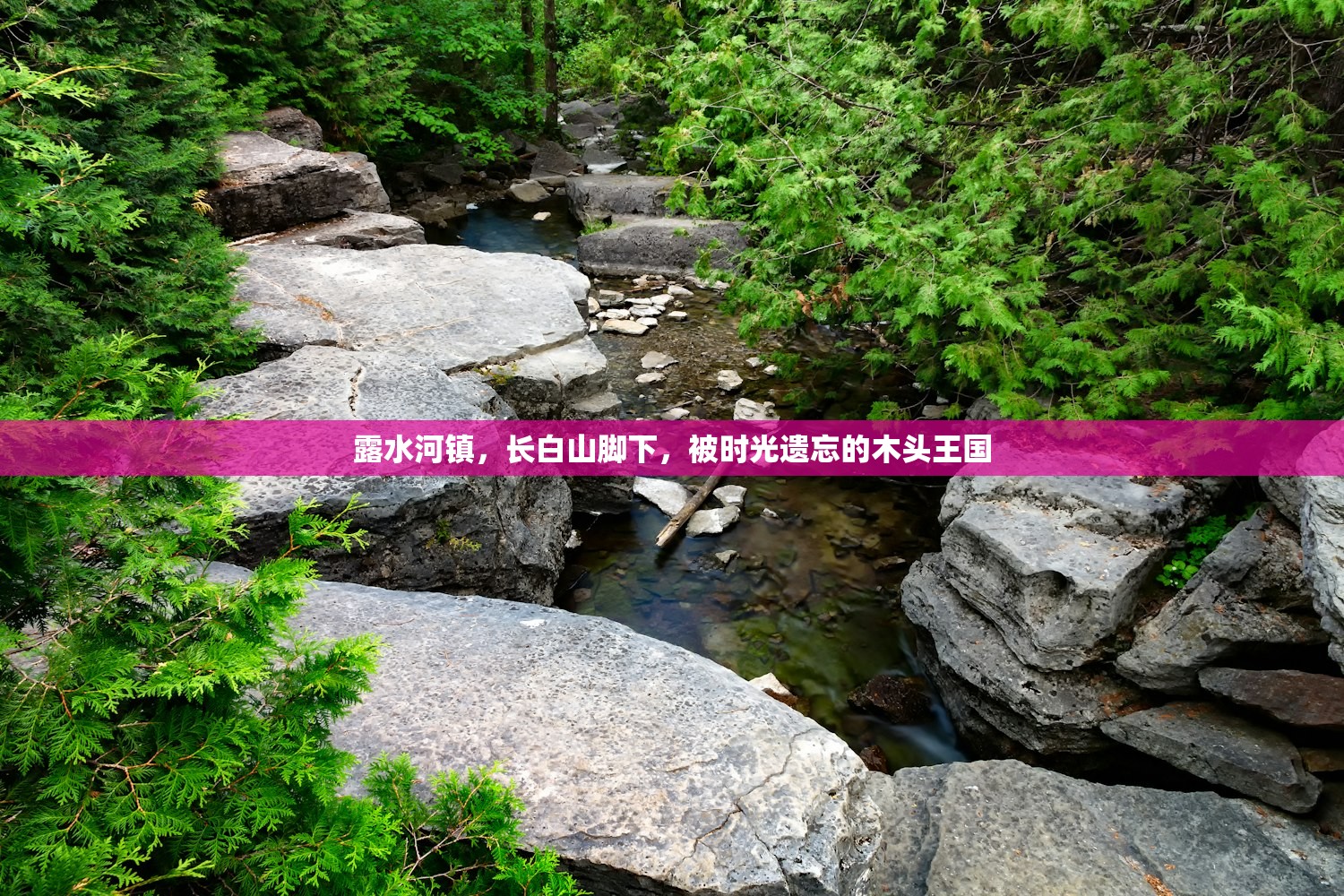 露水河镇，长白山脚下，被时光遗忘的木头王国