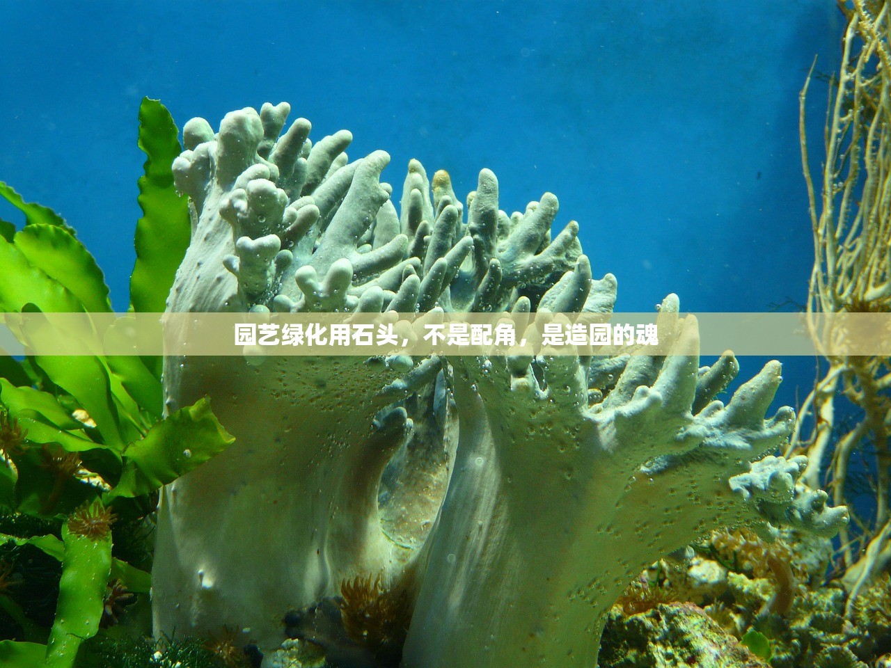园艺绿化用石头，不是配角，是造园的魂