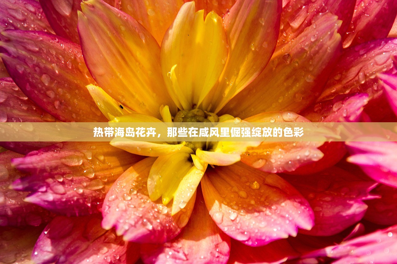 热带海岛花卉，那些在咸风里倔强绽放的色彩