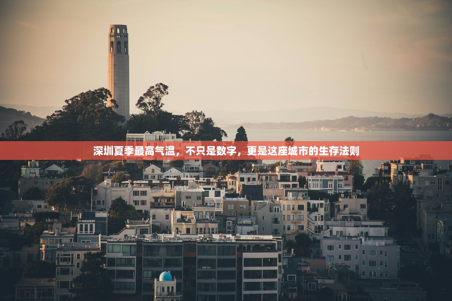 深圳夏季最高气温，不只是数字，更是这座城市的生存法则