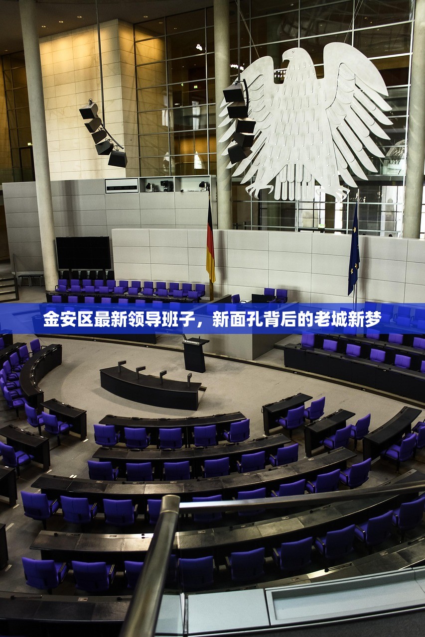 金安区最新领导班子，新面孔背后的老城新梦