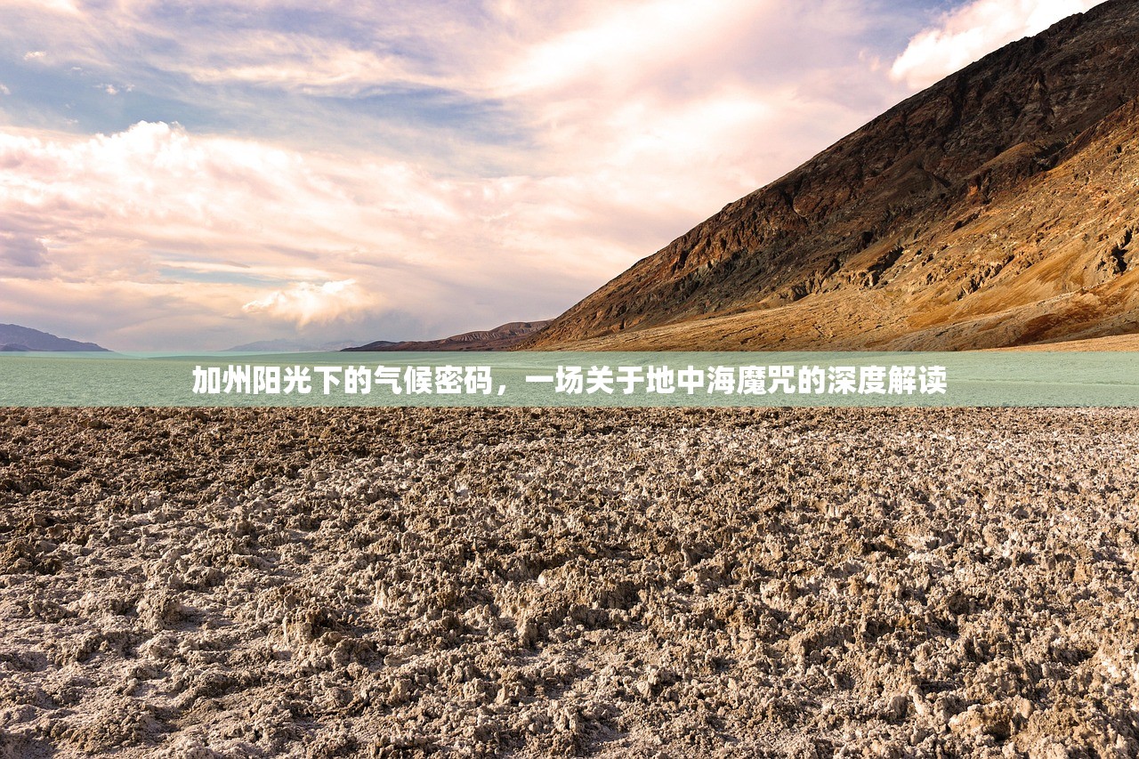加州阳光下的气候密码，一场关于地中海魔咒的深度解读