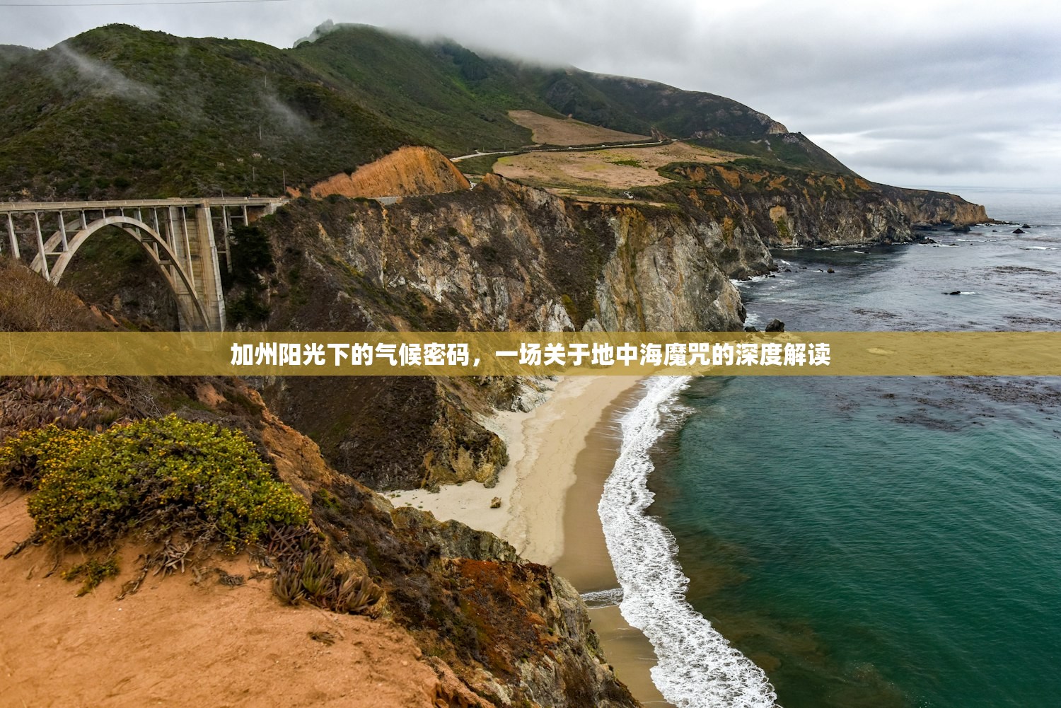 加州阳光下的气候密码，一场关于地中海魔咒的深度解读