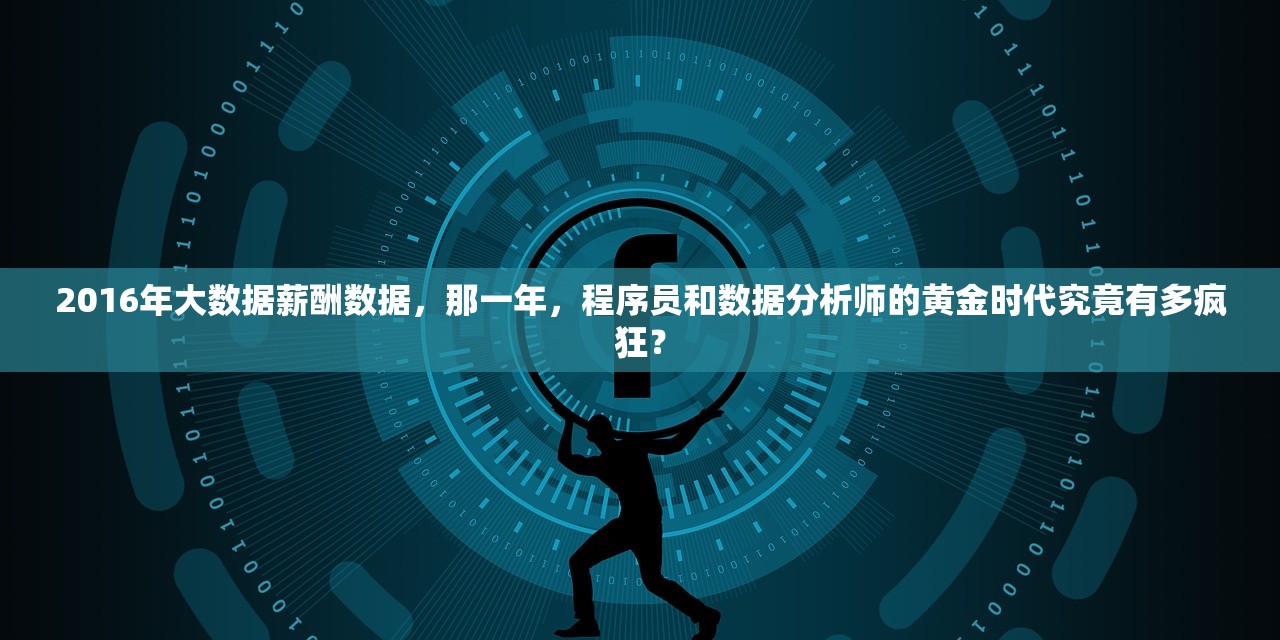 2016年大数据薪酬数据，那一年，程序员和数据分析师的黄金时代究竟有多疯狂？