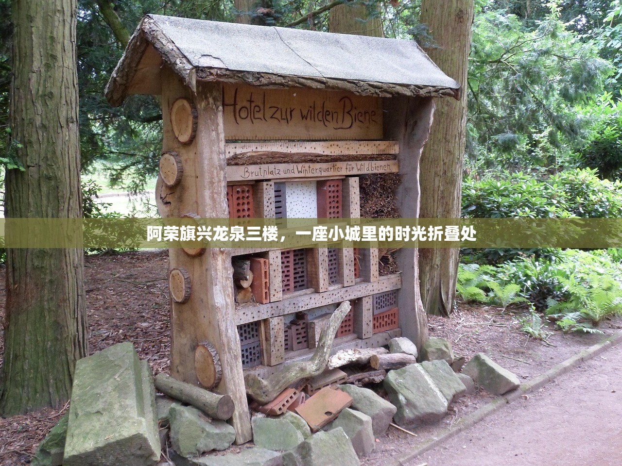 阿荣旗兴龙泉三楼，一座小城里的时光折叠处