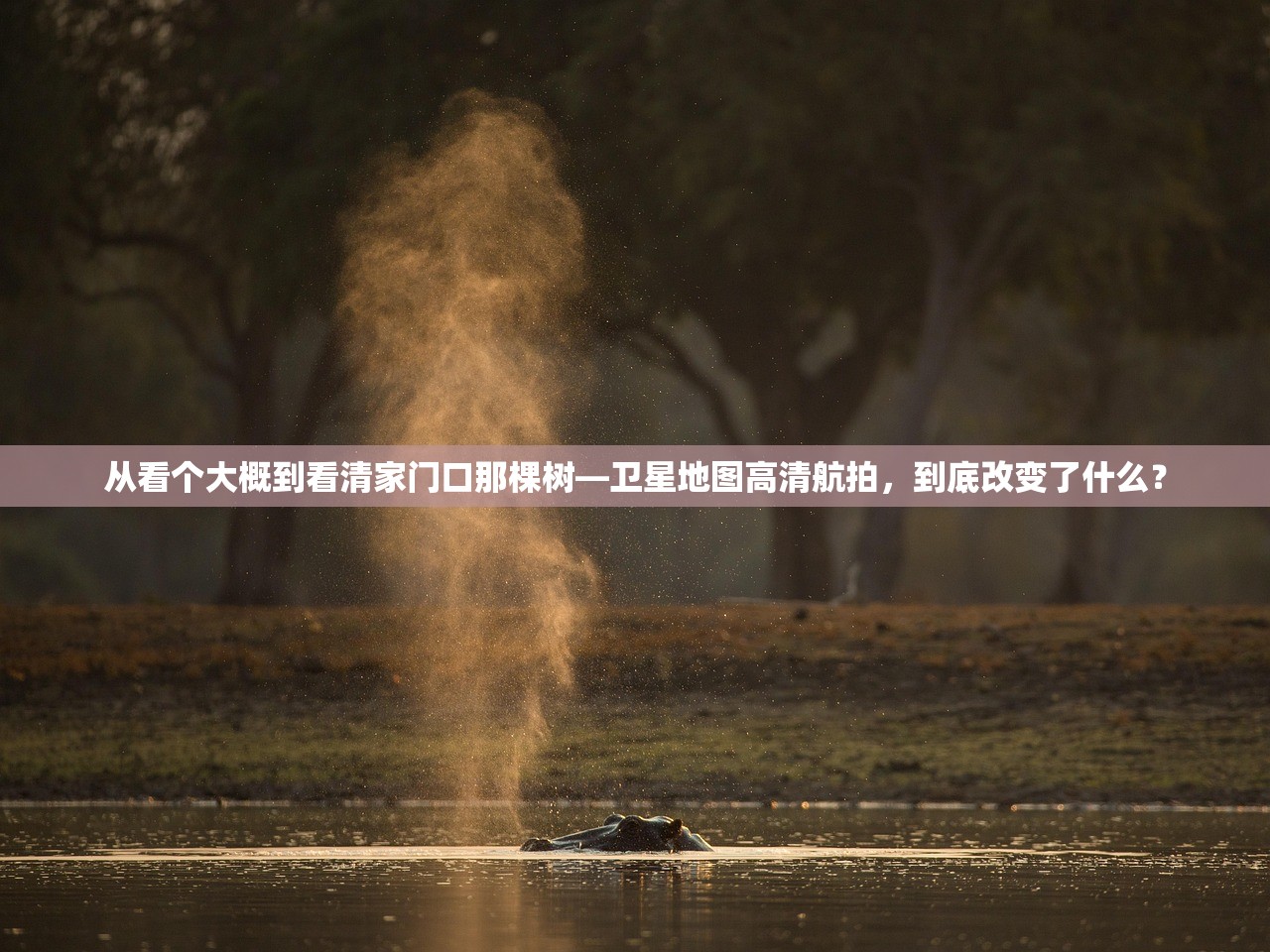 从看个大概到看清家门口那棵树—卫星地图高清航拍，到底改变了什么？