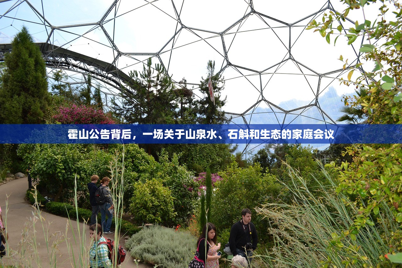霍山公告背后，一场关于山泉水、石斛和生态的家庭会议