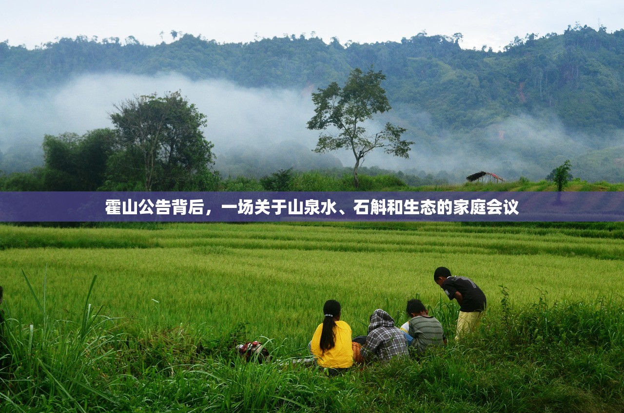霍山公告背后，一场关于山泉水、石斛和生态的家庭会议