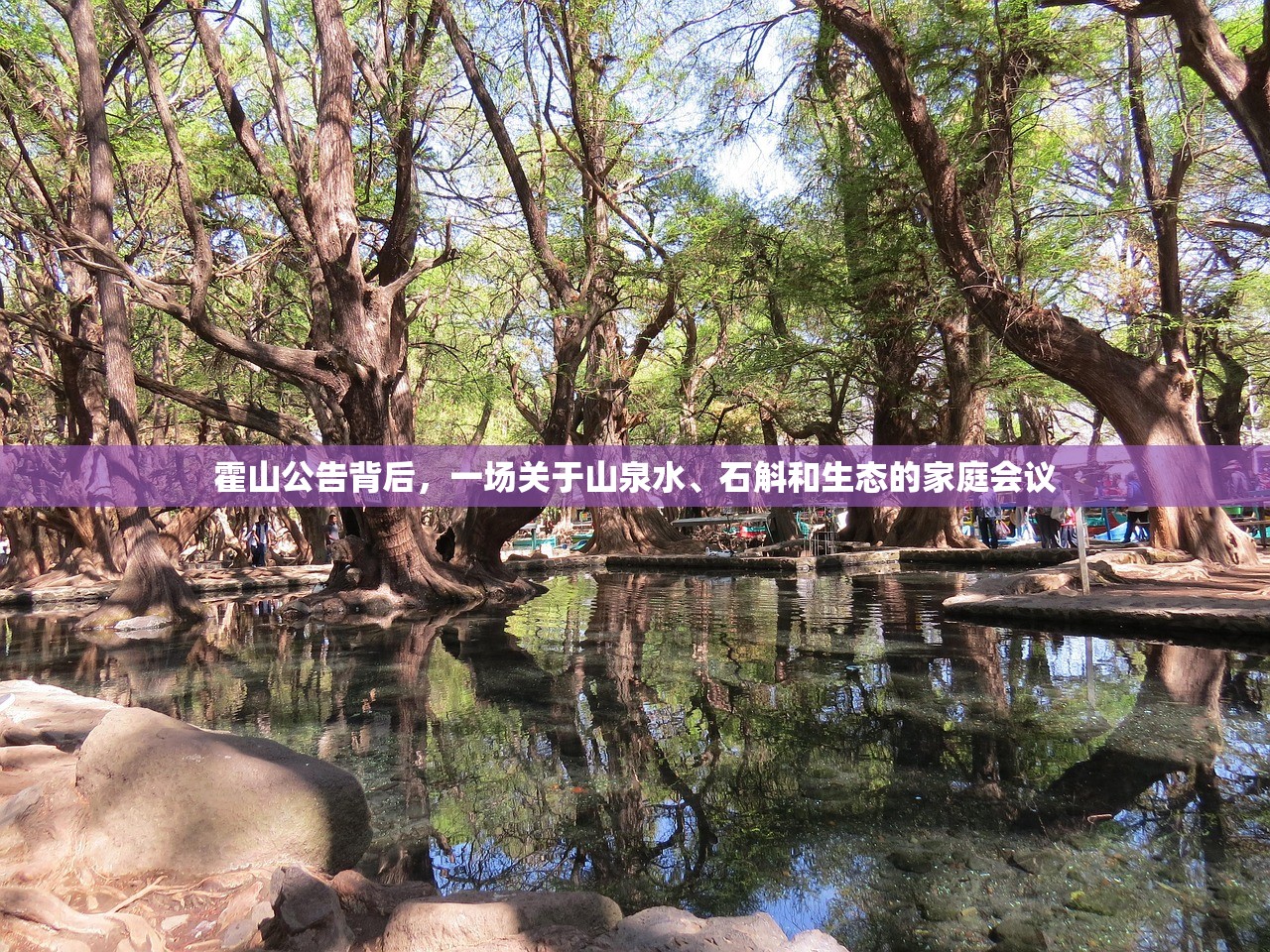 霍山公告背后，一场关于山泉水、石斛和生态的家庭会议