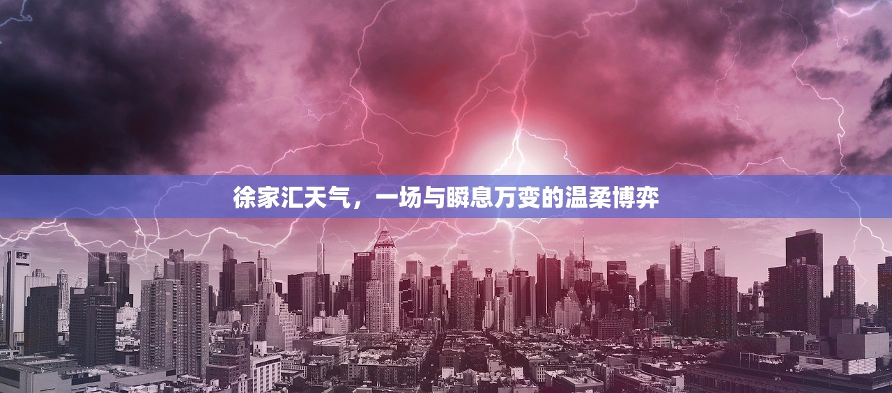 徐家汇天气，一场与瞬息万变的温柔博弈