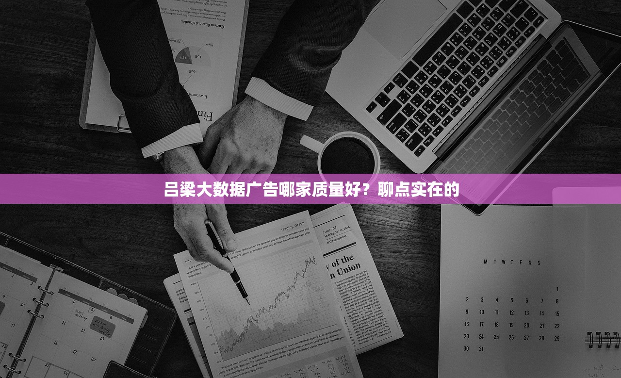 吕梁大数据广告哪家质量好？聊点实在的