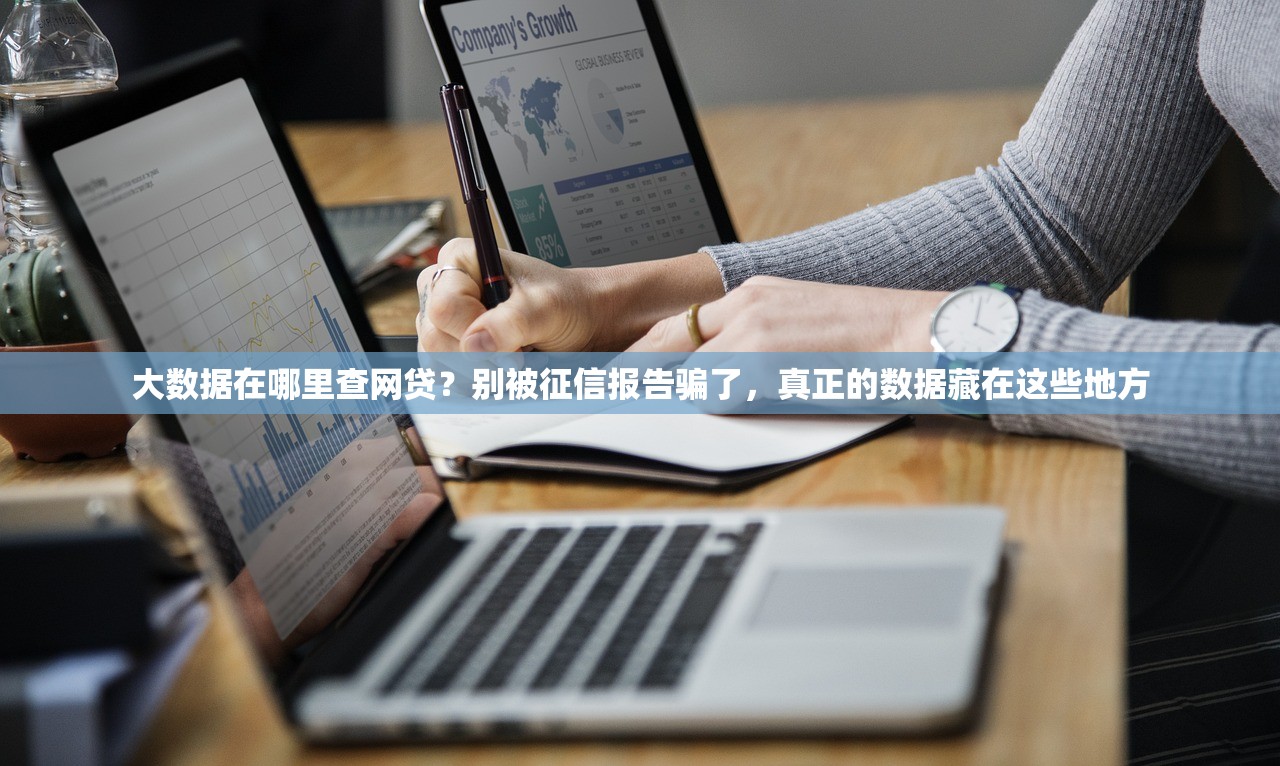 大数据在哪里查网贷？别被征信报告骗了，真正的数据藏在这些地方