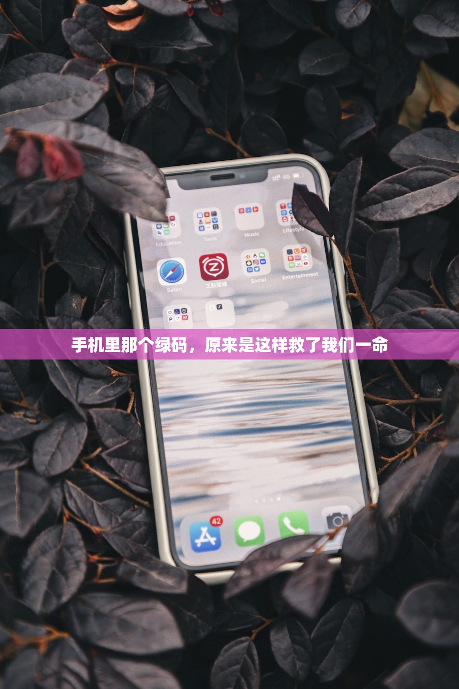 手机里那个绿码，原来是这样救了我们一命