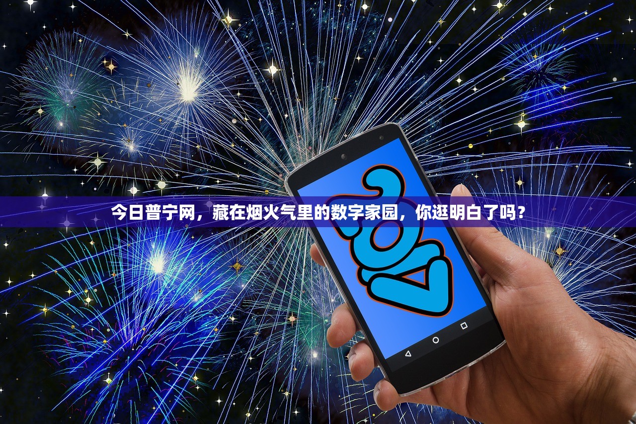 今日普宁网，藏在烟火气里的数字家园，你逛明白了吗？