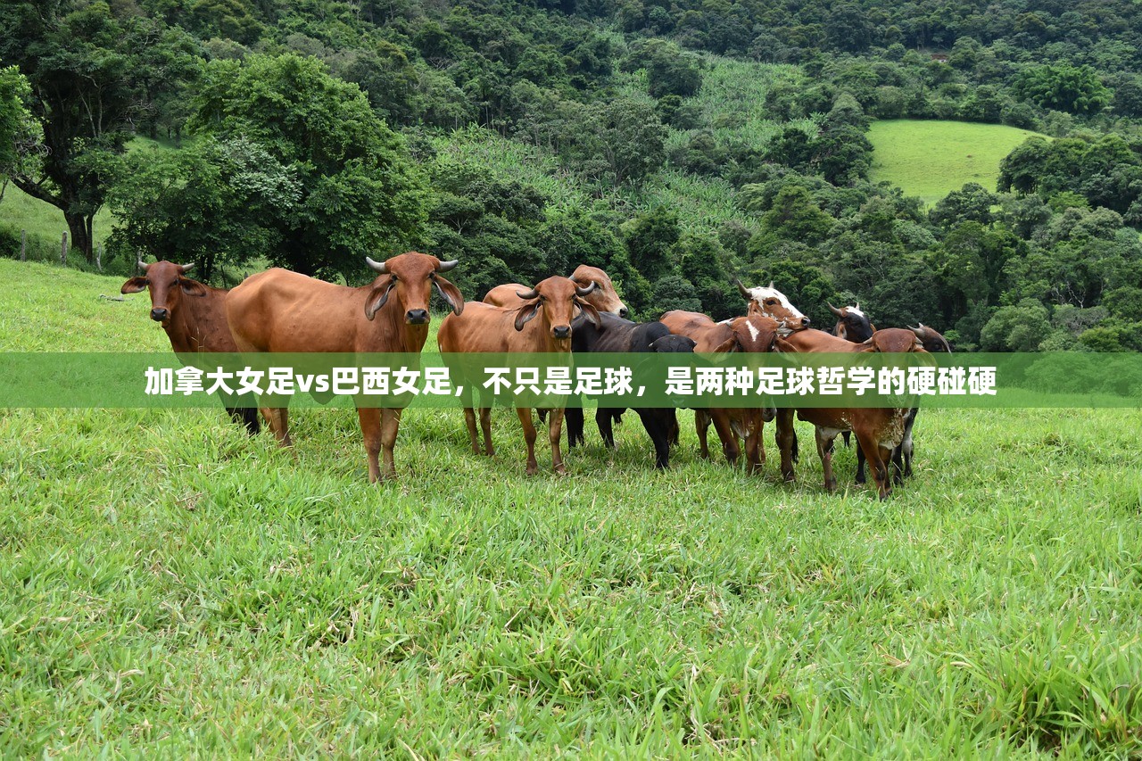 加拿大女足vs巴西女足，不只是足球，是两种足球哲学的硬碰硬