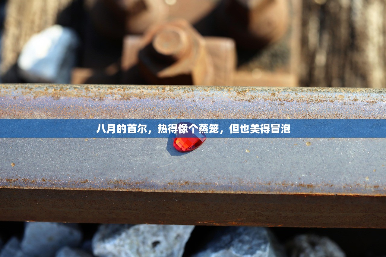 八月的首尔，热得像个蒸笼，但也美得冒泡