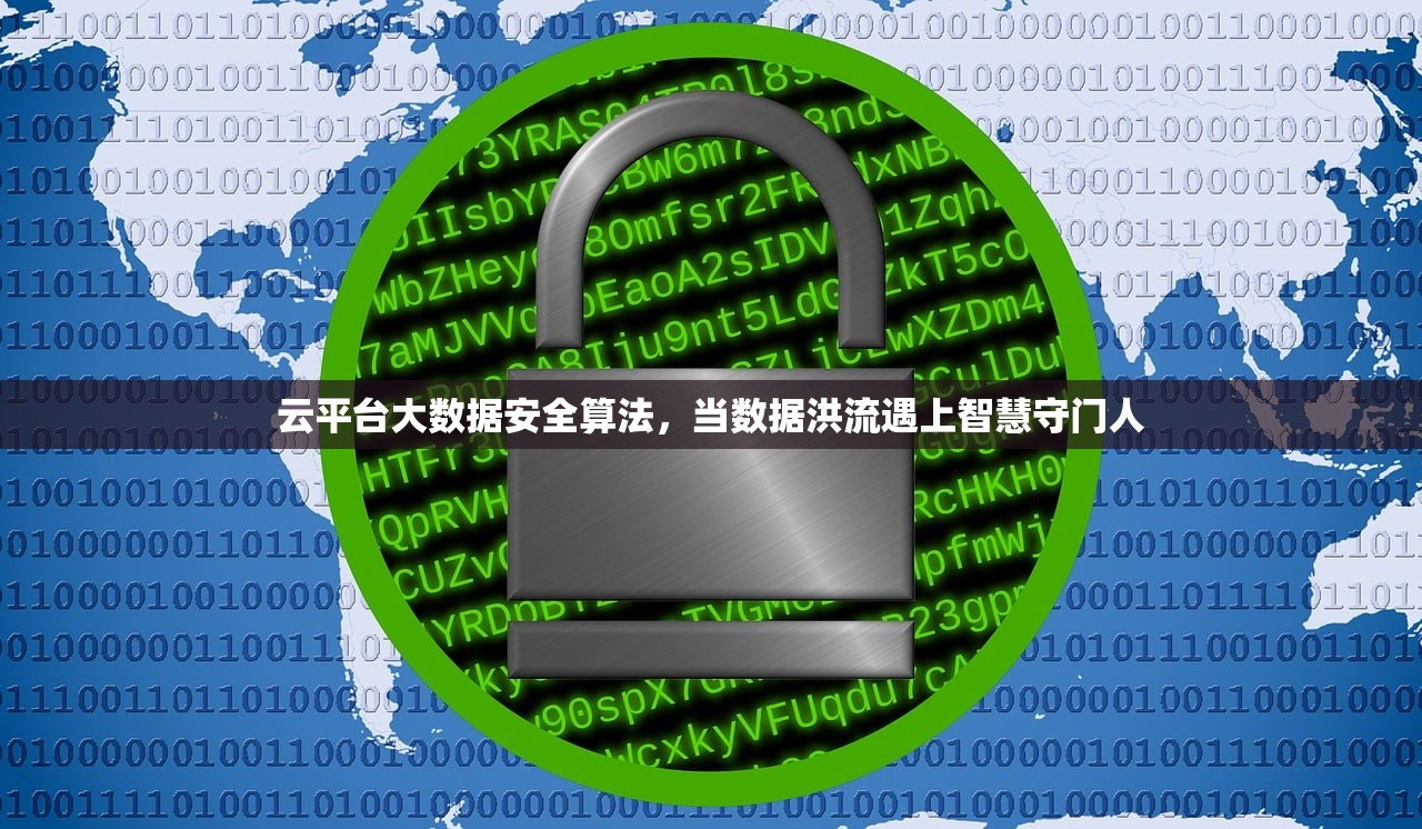 云平台大数据安全算法，当数据洪流遇上智慧守门人