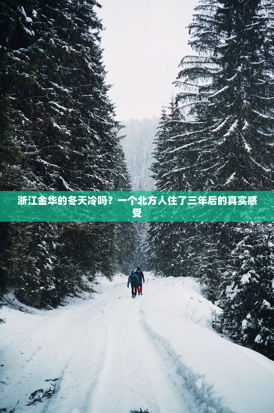 浙江金华的冬天冷吗？一个北方人住了三年后的真实感受