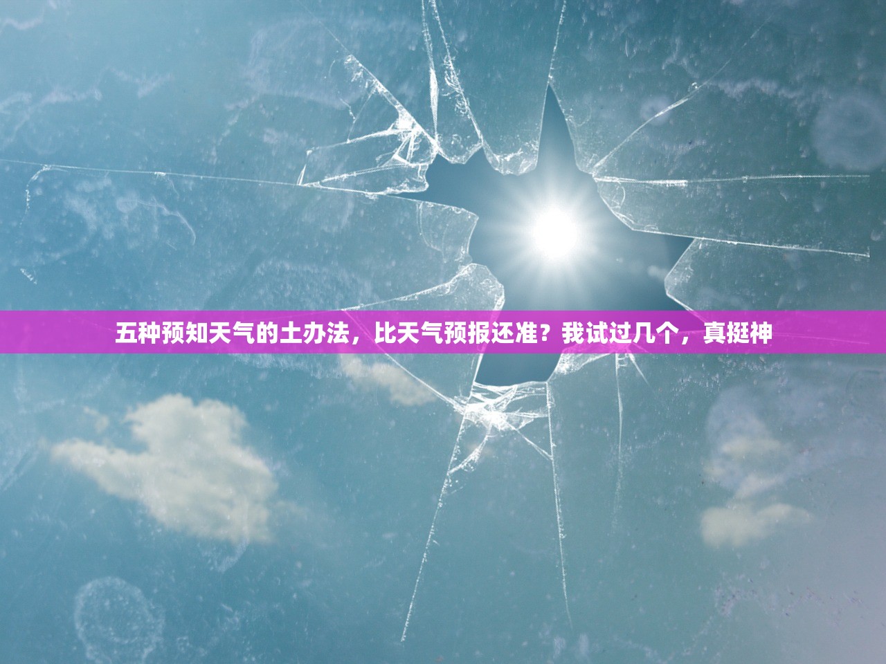 五种预知天气的土办法，比天气预报还准？我试过几个，真挺神