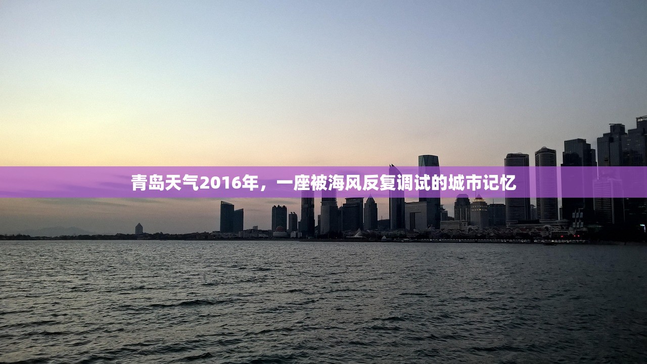 青岛天气2016年，一座被海风反复调试的城市记忆