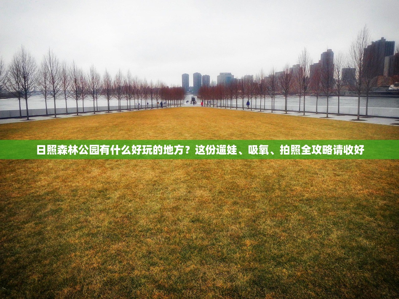 日照森林公园有什么好玩的地方？这份遛娃、吸氧、拍照全攻略请收好