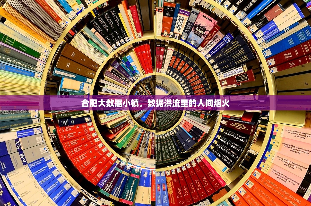 合肥大数据小镇，数据洪流里的人间烟火