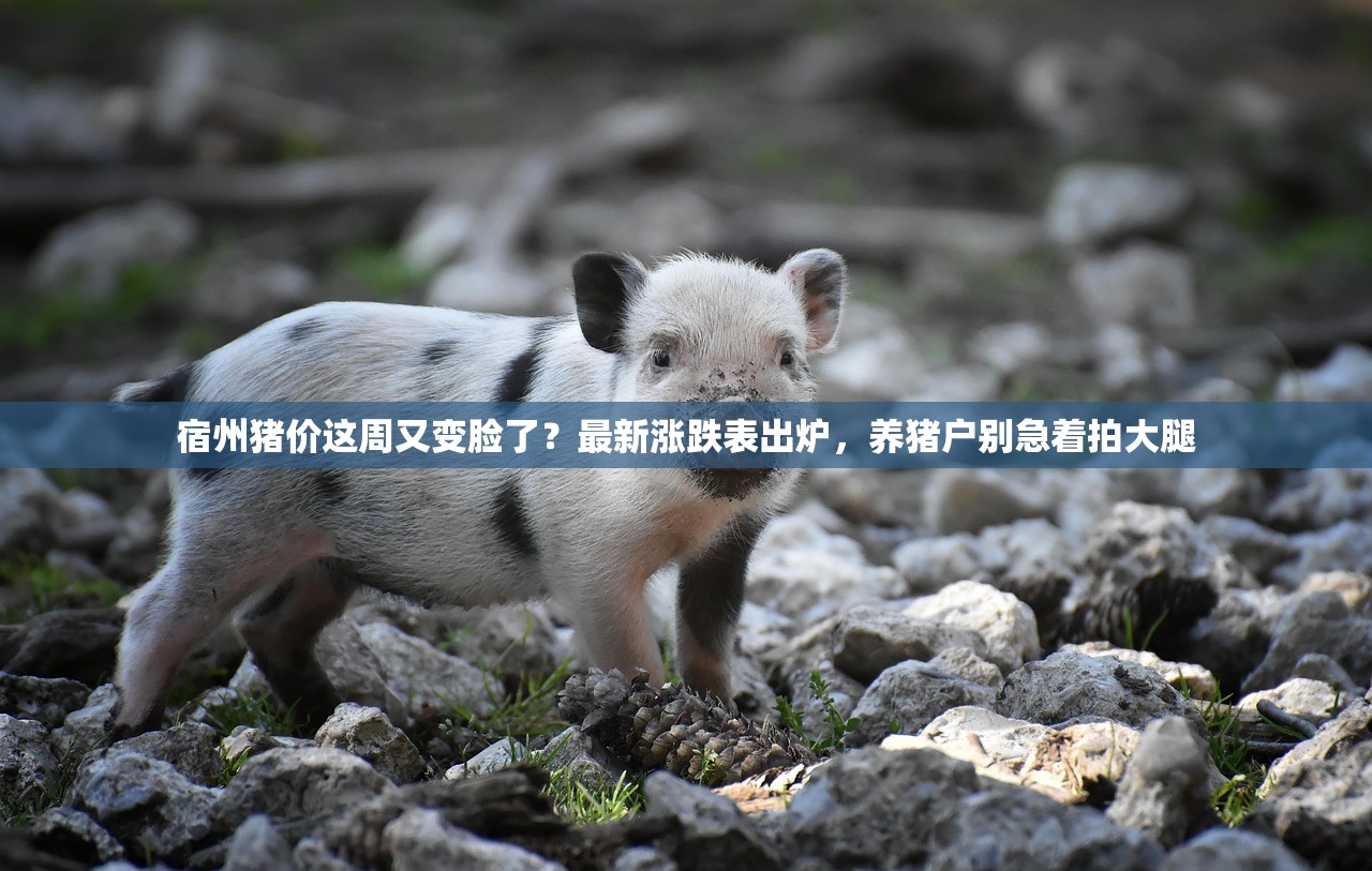 宿州猪价这周又变脸了？最新涨跌表出炉，养猪户别急着拍大腿