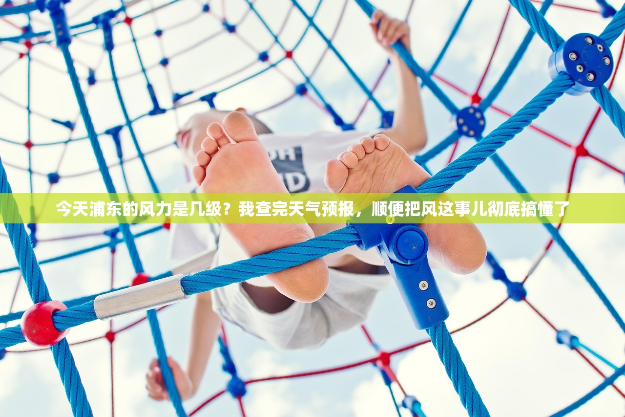 今天浦东的风力是几级？我查完天气预报，顺便把风这事儿彻底搞懂了