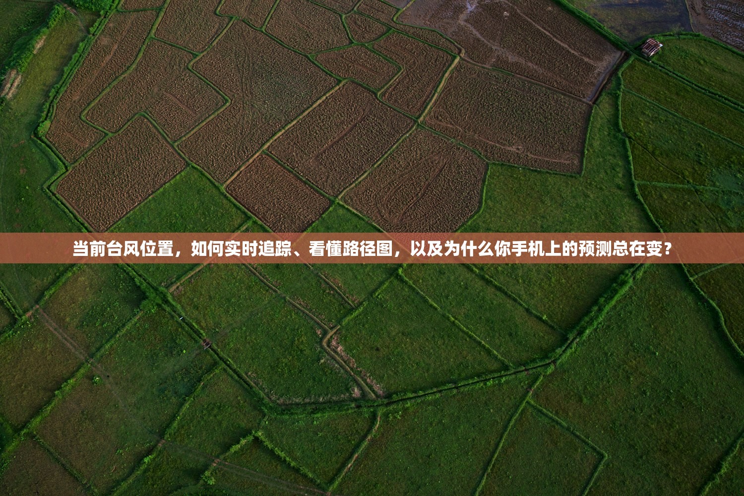 当前台风位置，如何实时追踪、看懂路径图，以及为什么你手机上的预测总在变？