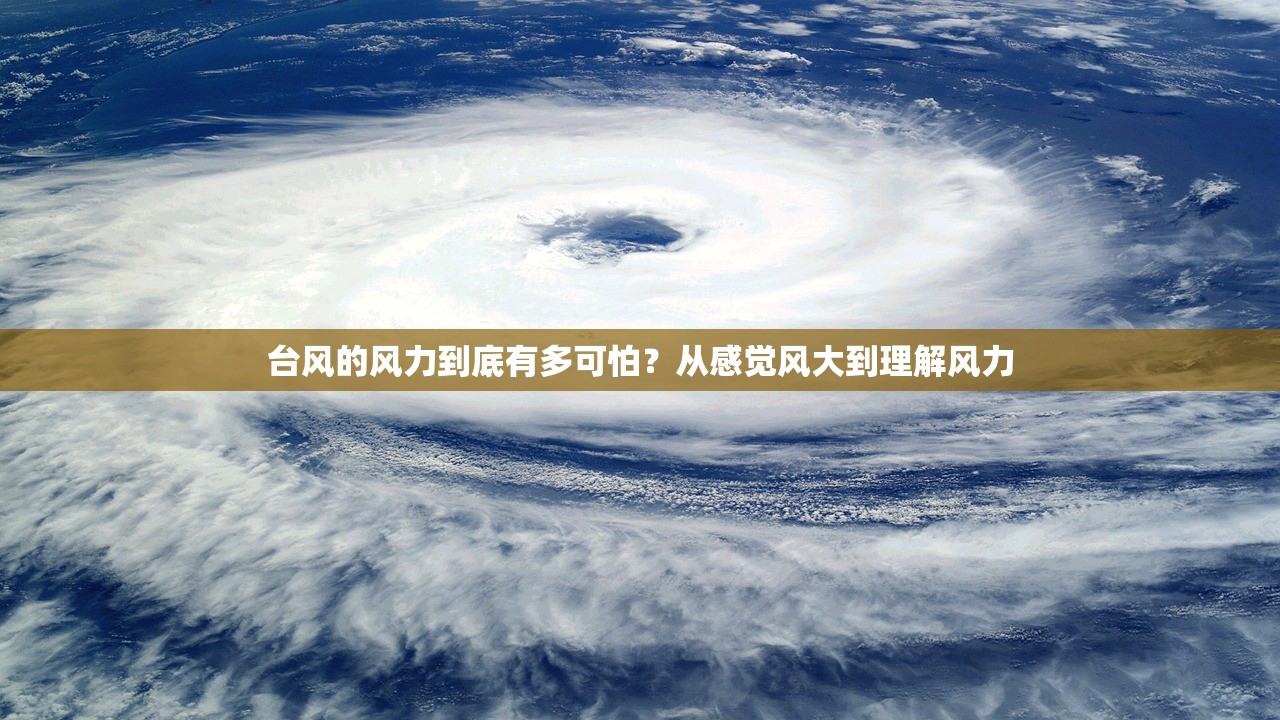 台风的风力到底有多可怕？从感觉风大到理解风力