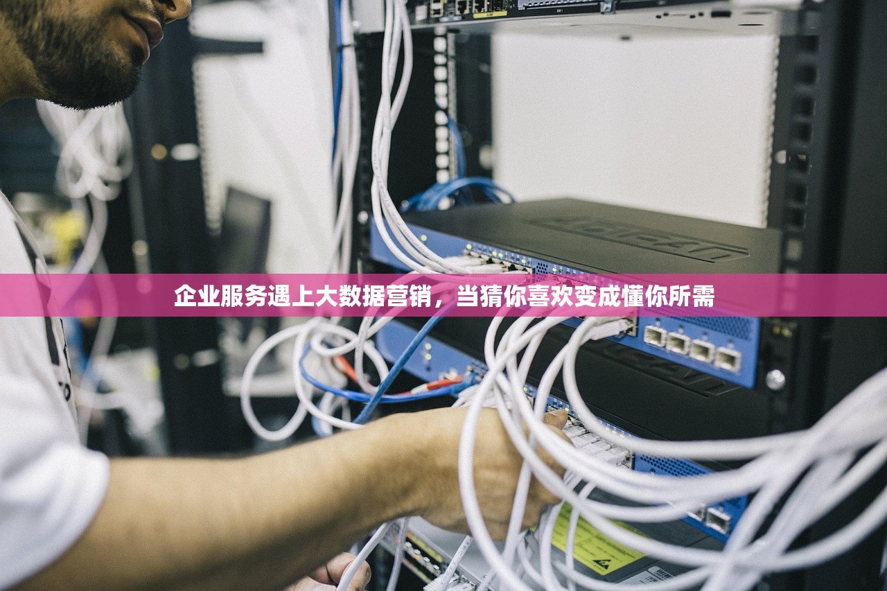 企业服务遇上大数据营销，当猜你喜欢变成懂你所需