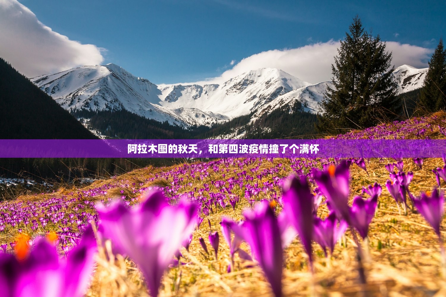 阿拉木图的秋天，和第四波疫情撞了个满怀
