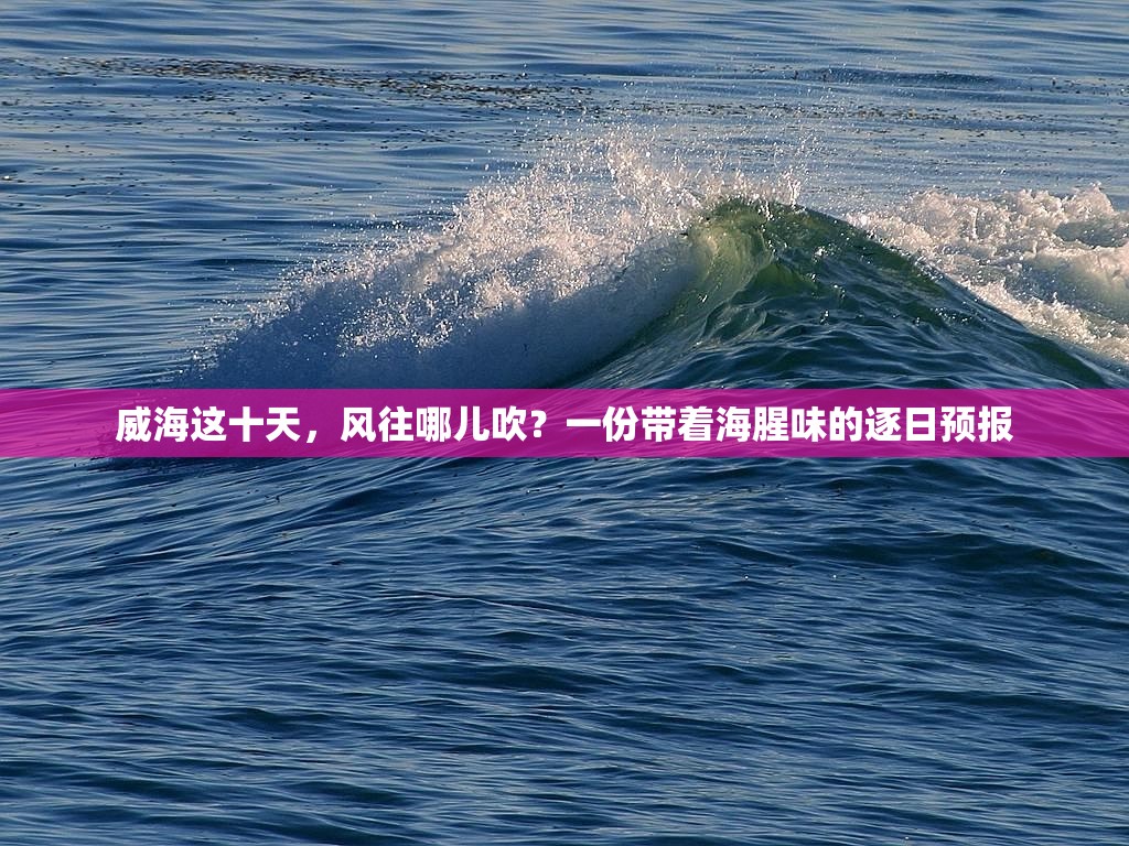威海这十天，风往哪儿吹？一份带着海腥味的逐日预报