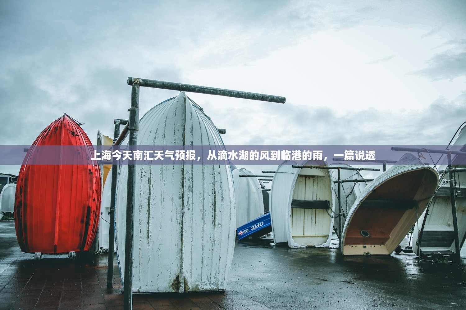 上海今天南汇天气预报，从滴水湖的风到临港的雨，一篇说透