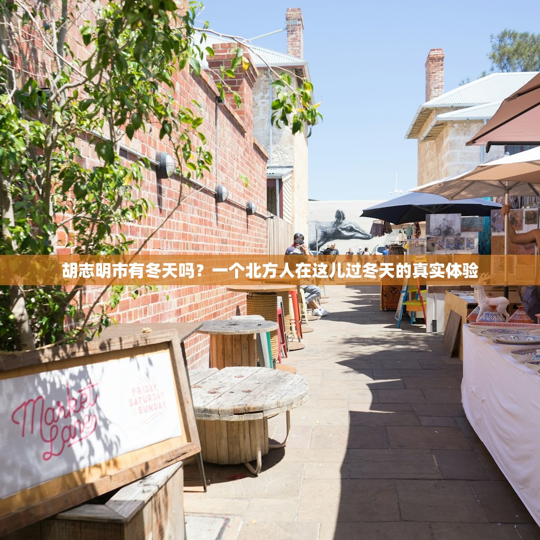 胡志明市有冬天吗？一个北方人在这儿过冬天的真实体验