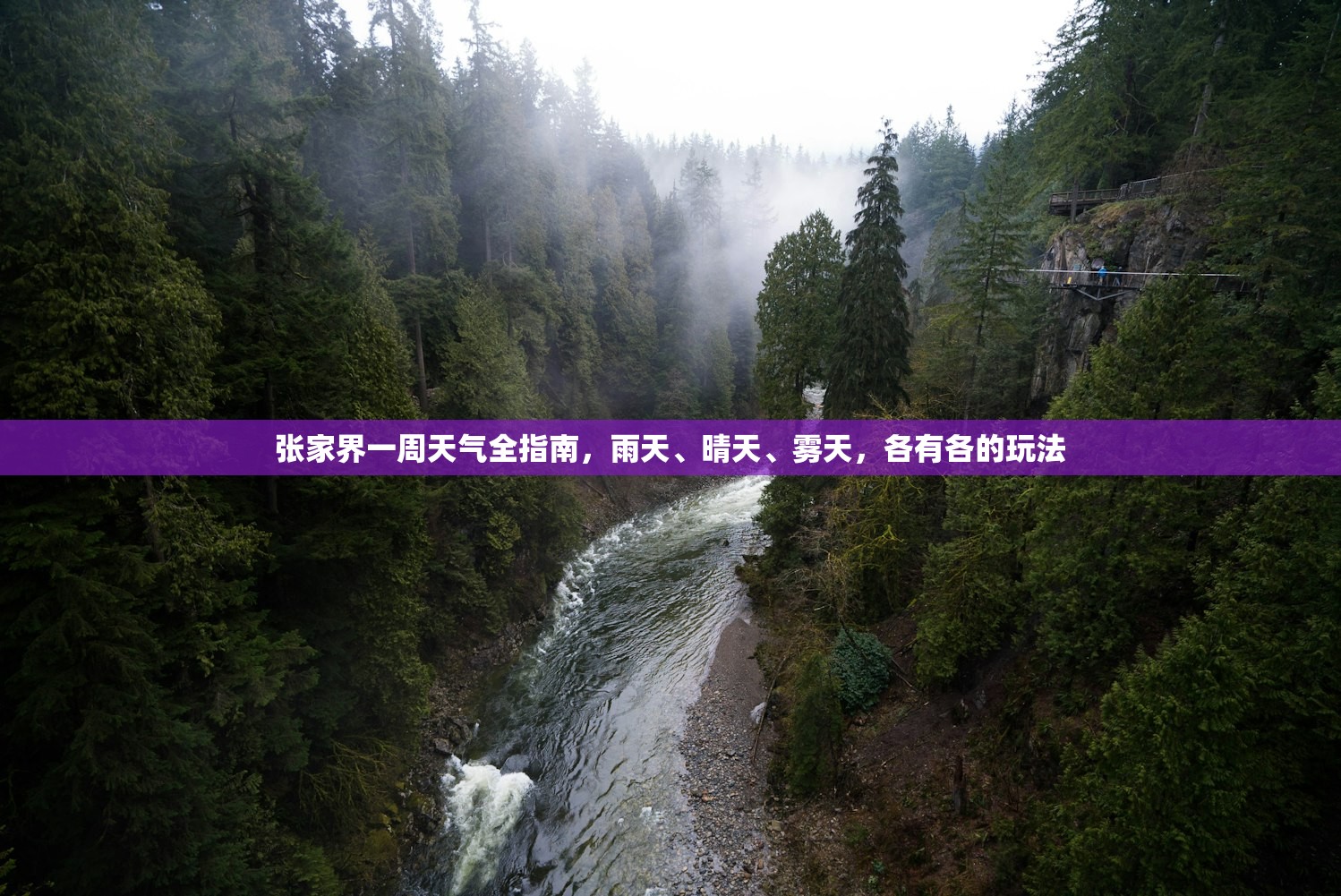 张家界一周天气全指南，雨天、晴天、雾天，各有各的玩法