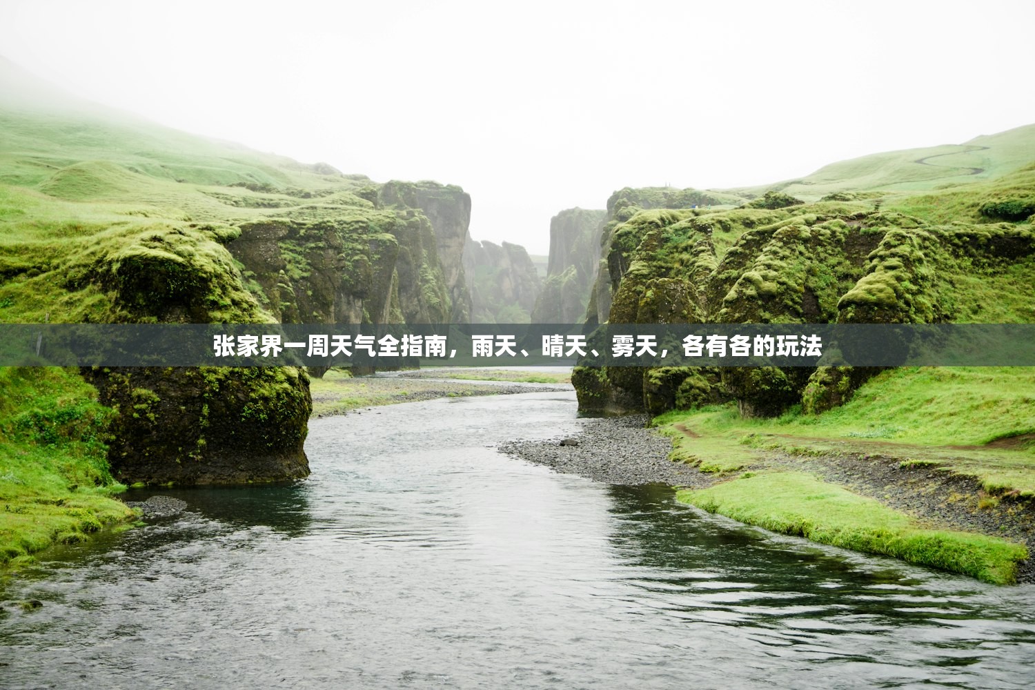 张家界一周天气全指南，雨天、晴天、雾天，各有各的玩法