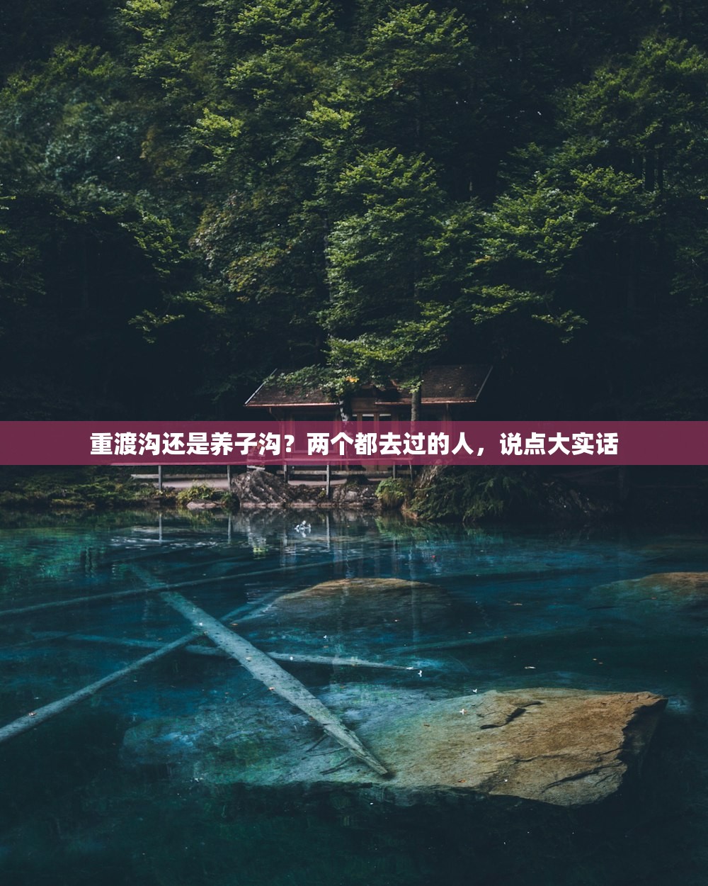 重渡沟还是养子沟?两个都去过的人,说点大实话 重渡沟还是养子沟?两个都去过的人,说点大实话