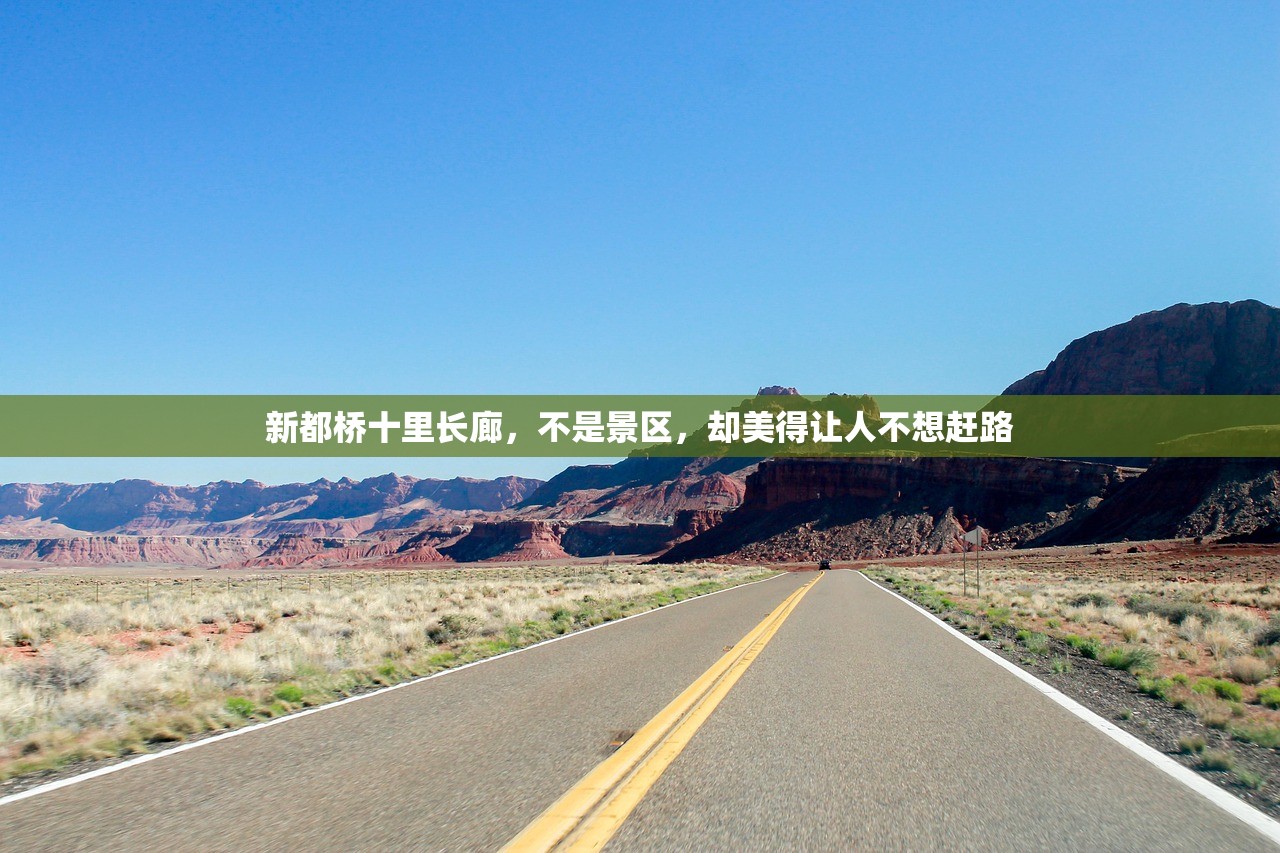 新都桥十里长廊，不是景区，却美得让人不想赶路