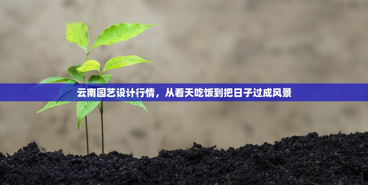云南园艺设计行情，从看天吃饭到把日子过成风景