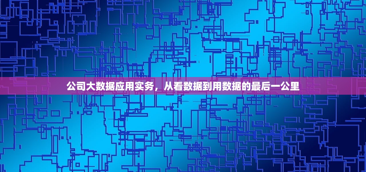 公司大数据应用实务，从看数据到用数据的最后一公里