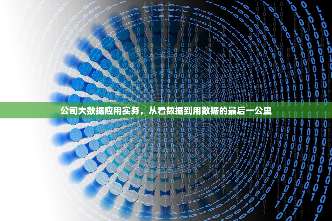 公司大数据应用实务，从看数据到用数据的最后一公里