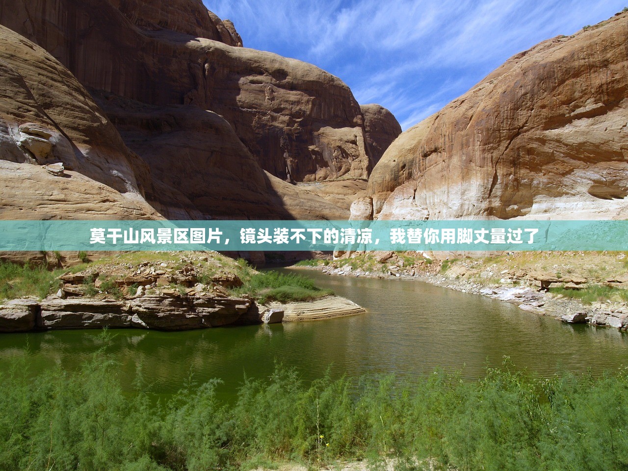 莫干山风景区图片，镜头装不下的清凉，我替你用脚丈量过了