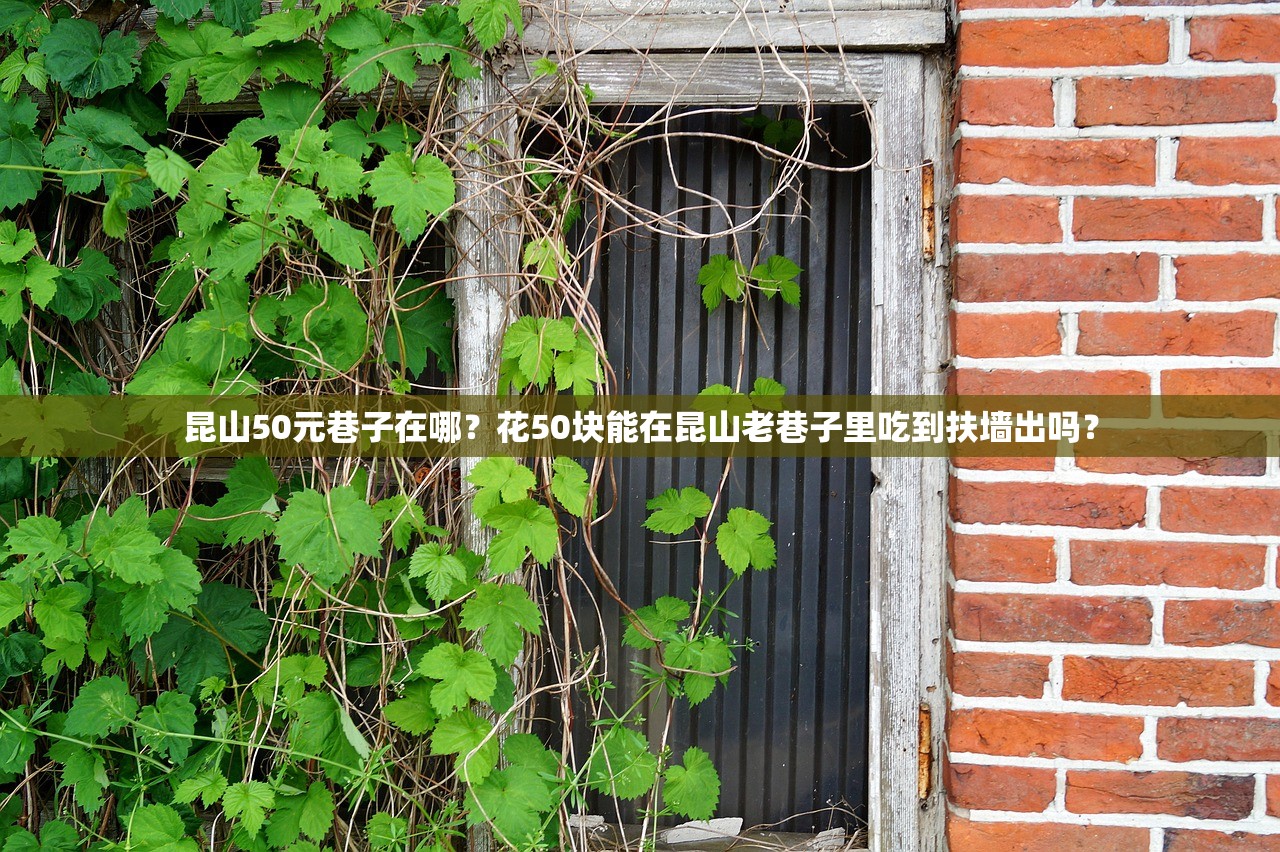 昆山50元巷子在哪？花50块能在昆山老巷子里吃到扶墙出吗？